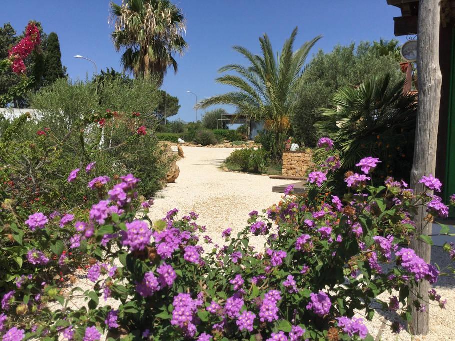 Il Colle Del Rustico Bed & Breakfast Agrigento Exterior photo