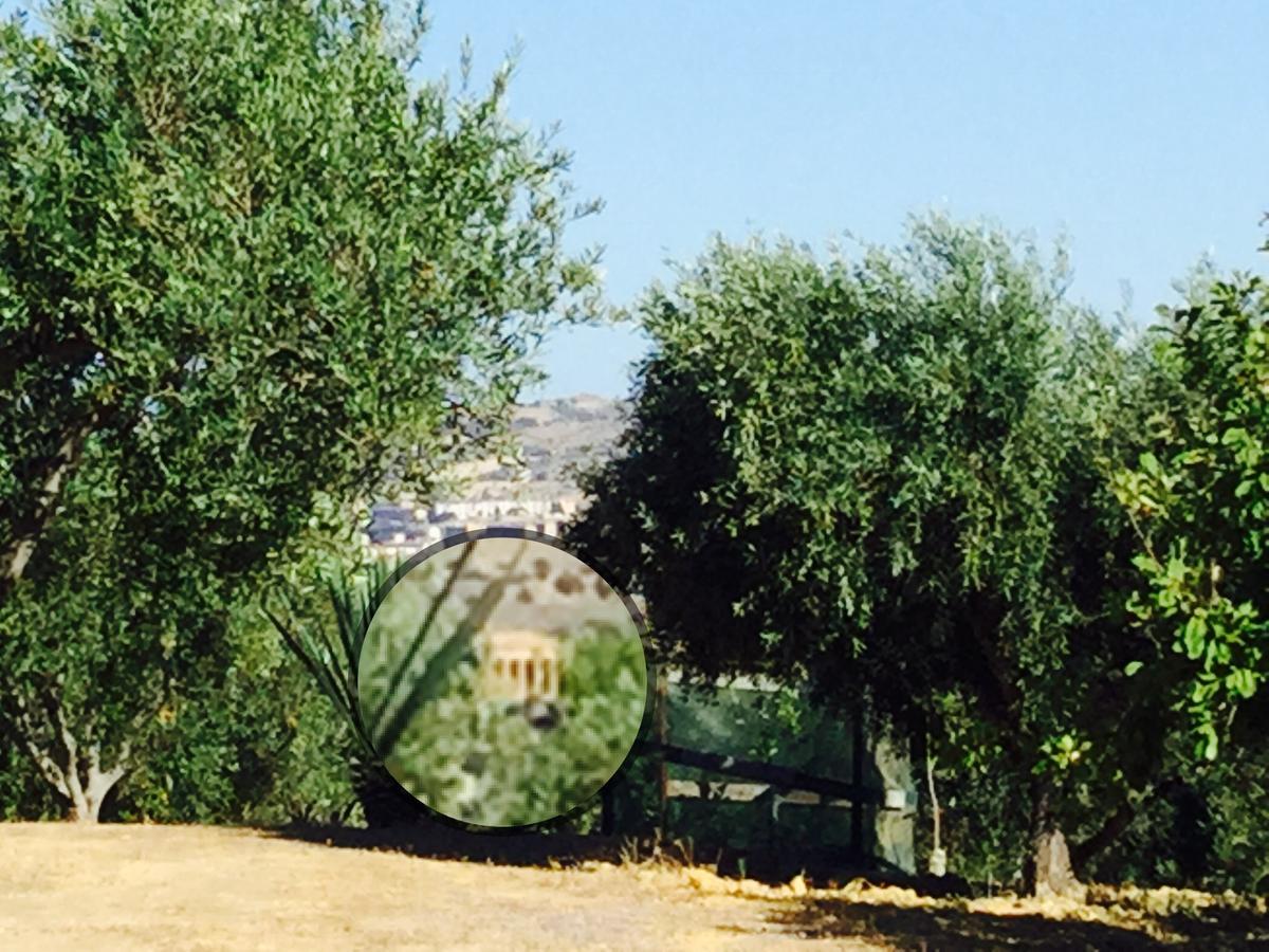 Il Colle Del Rustico Bed & Breakfast Agrigento Exterior photo