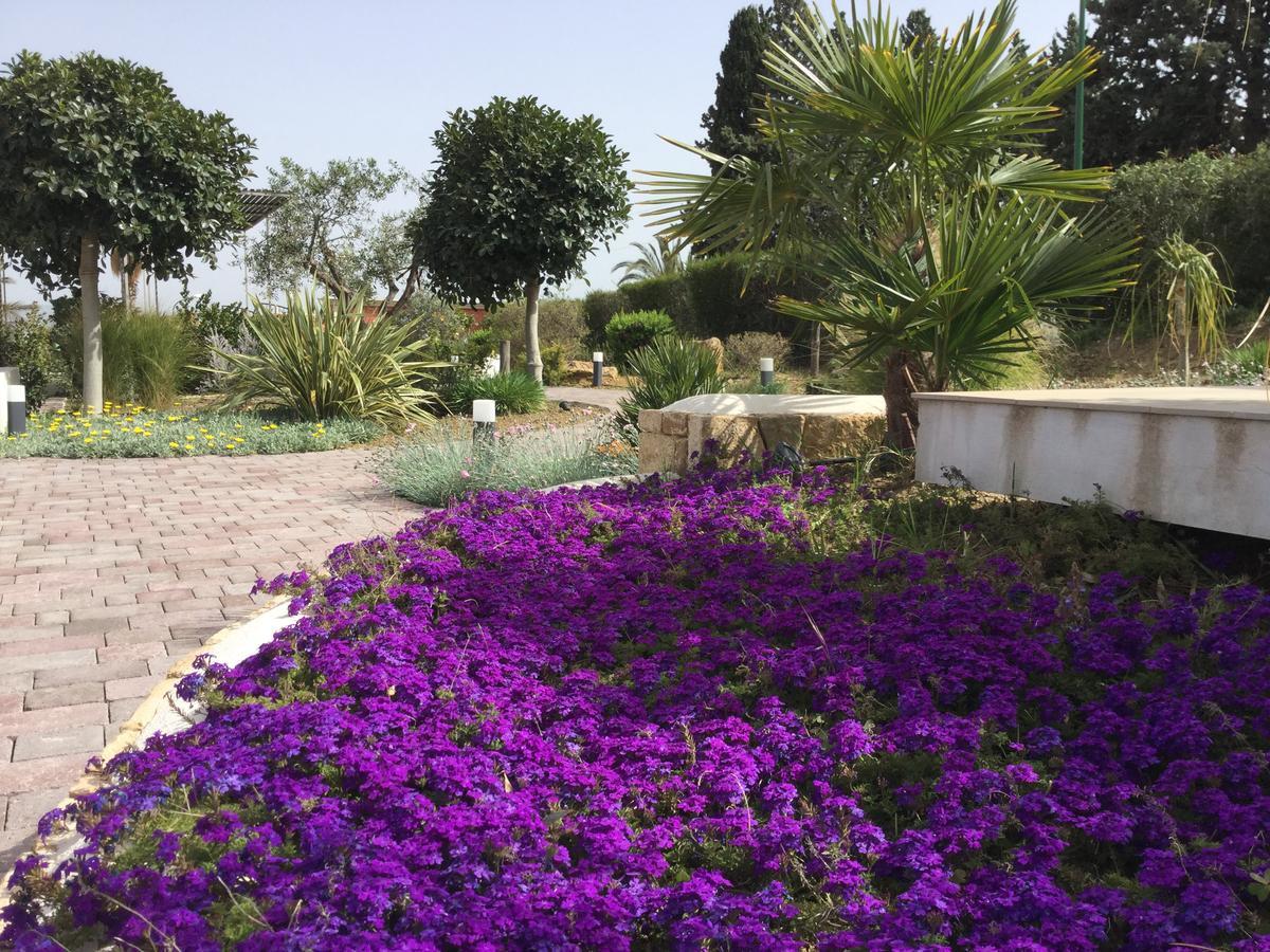 Il Colle Del Rustico Bed & Breakfast Agrigento Exterior photo